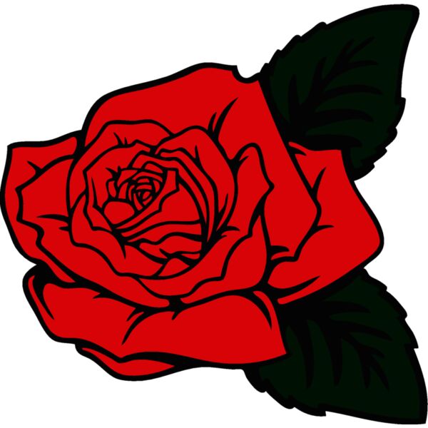 es2rose002clr Thumbnail