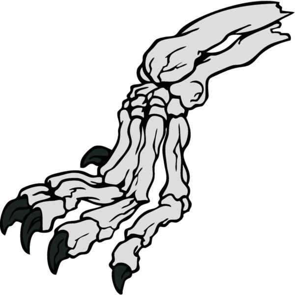 esclaw001clr Thumbnail