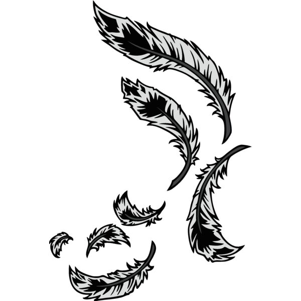 feathers06 Thumbnail