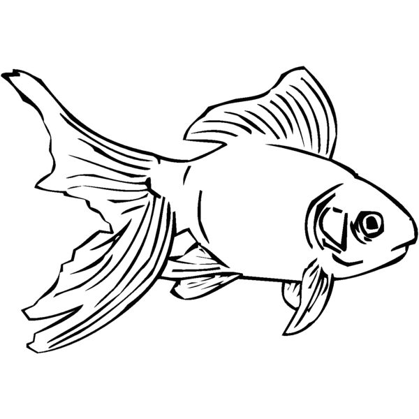 goldfish01 Thumbnail