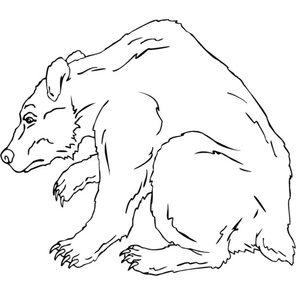 grizzlybear Thumbnail