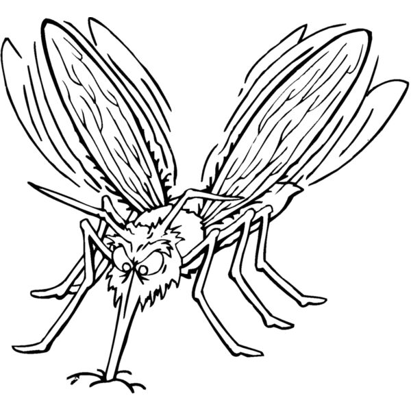 mosquito Thumbnail