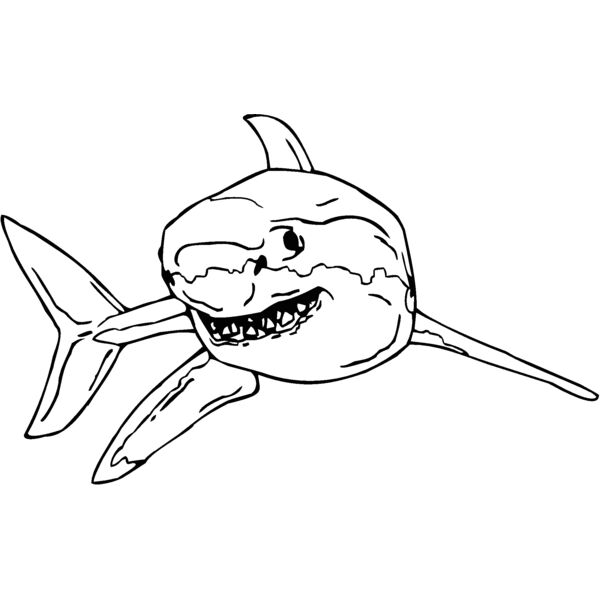 great white Thumbnail