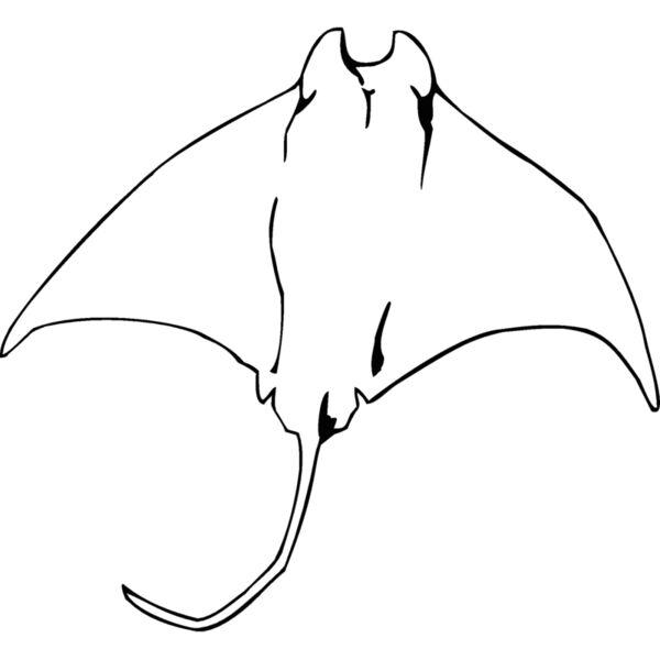 mantaray01 Thumbnail