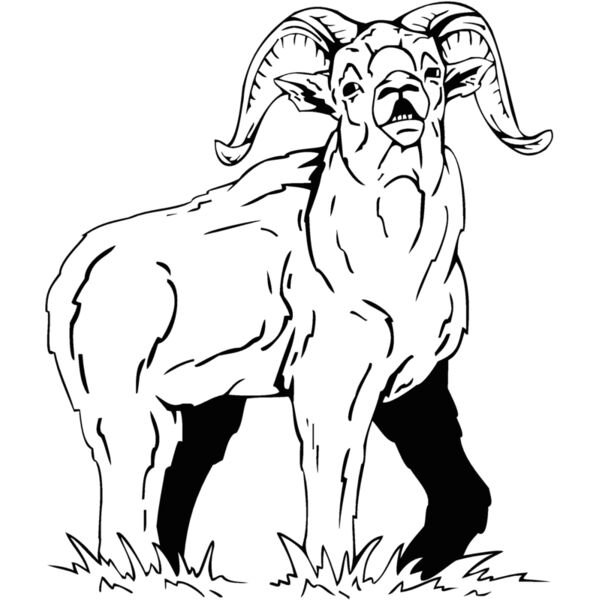 mountaingoat4 Thumbnail