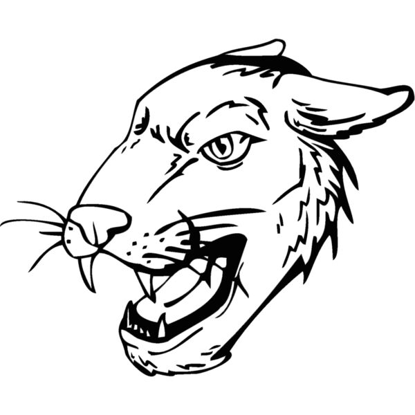 cougar Thumbnail