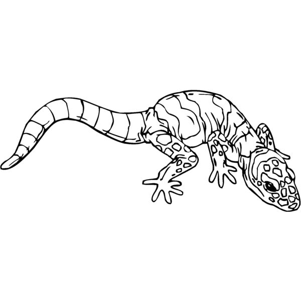 banded gila monster Thumbnail