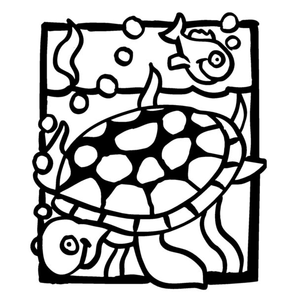 seaturtlescene Thumbnail