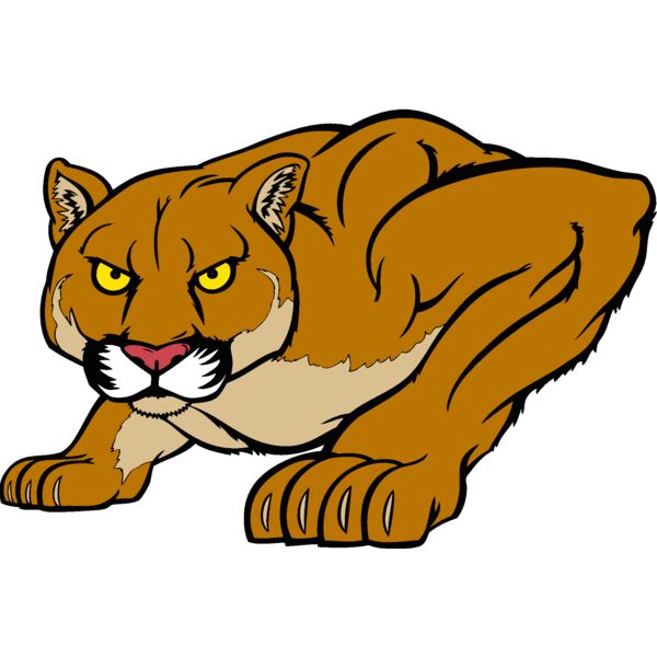 cougar06v4clr Thumbnail