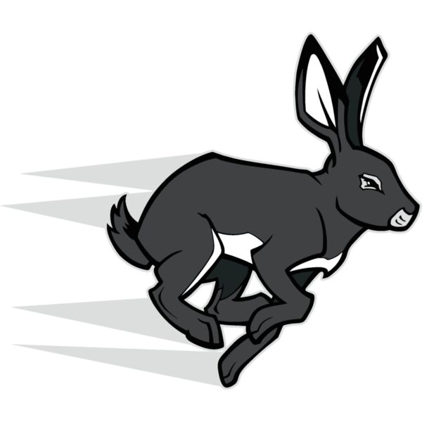 rabbit04v4clr  2  Thumbnail