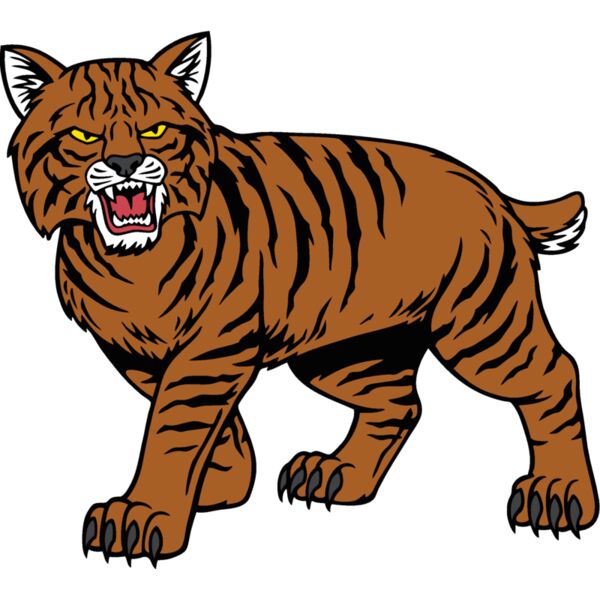 wildcat04v4clr Thumbnail