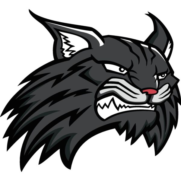 wildcat11v4clr Thumbnail