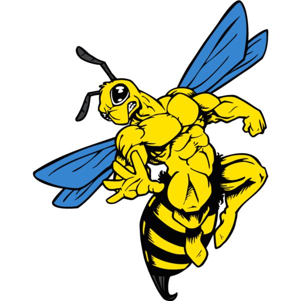 yellowjkt2 Thumbnail