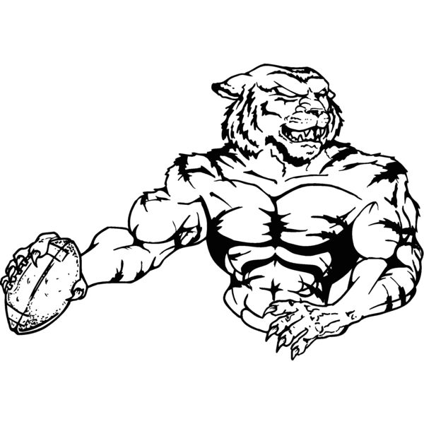 tigerftbl1 Thumbnail