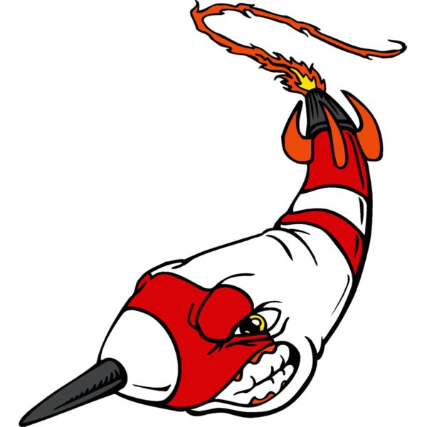 rocketmn01 Thumbnail