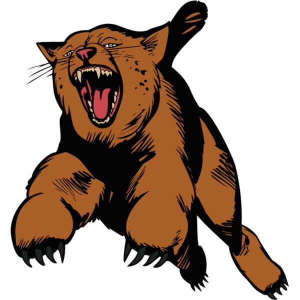 wildcatbc4 Thumbnail