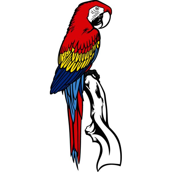 es3parrot02clr Thumbnail