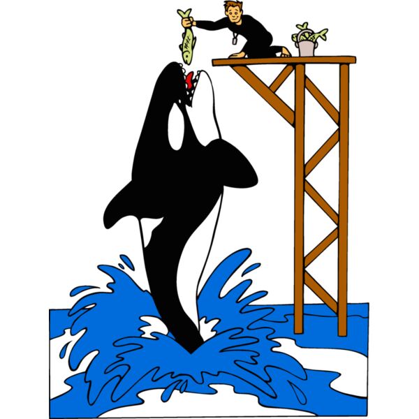 killerwhale05 Thumbnail