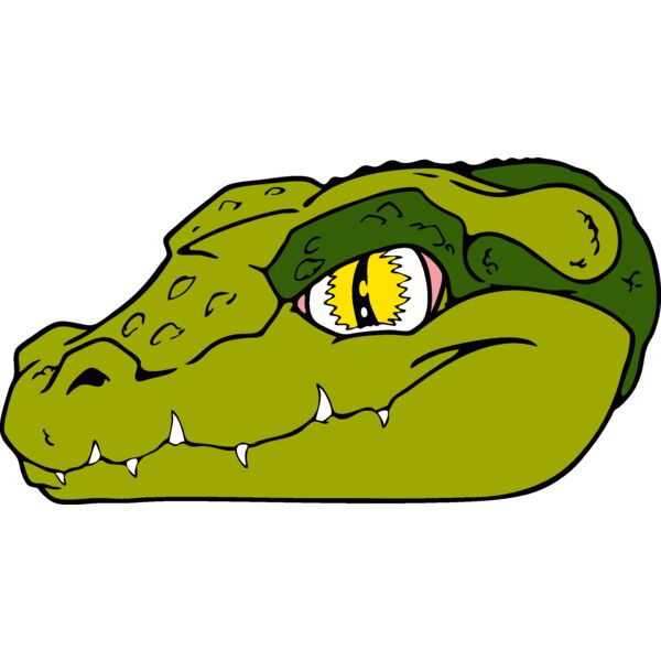 gatorheadguy Thumbnail