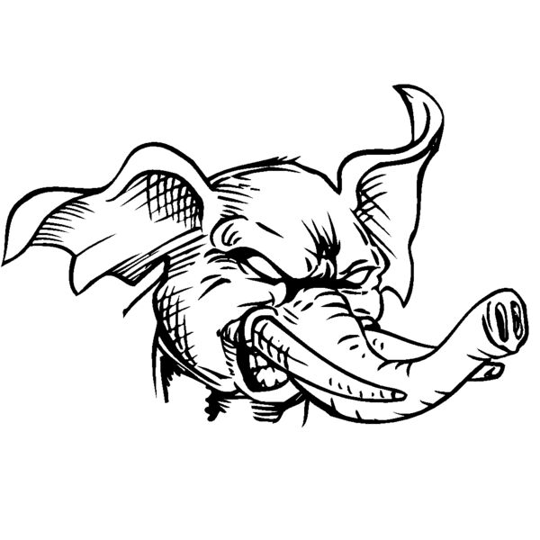 elephanthead05 Thumbnail