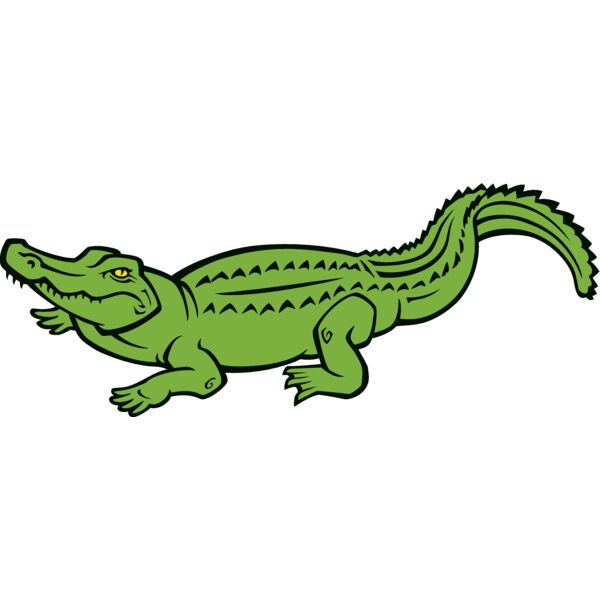 gator05v4clr Thumbnail