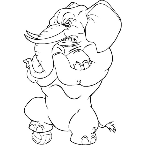 elephntvlybns Thumbnail