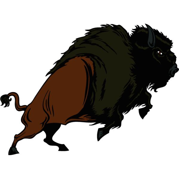 buffalo02v4clr Thumbnail