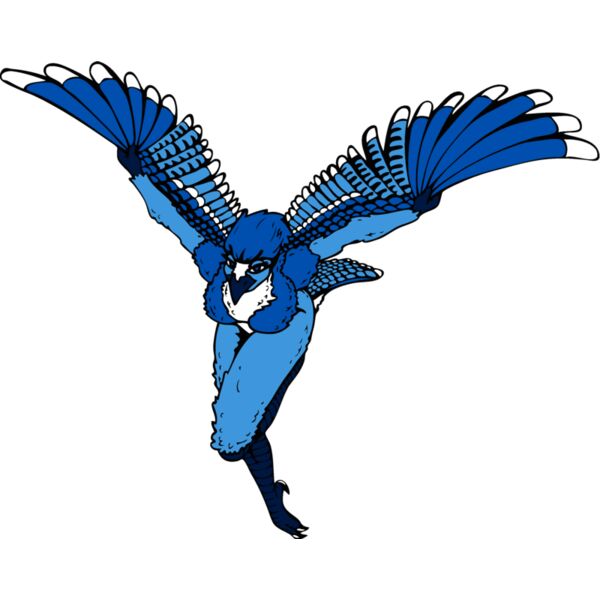 bluejaygirl Thumbnail