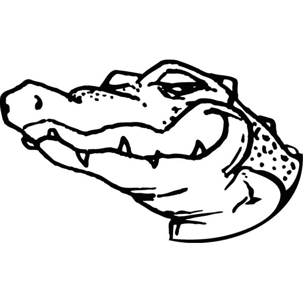 gatorhead2 Thumbnail
