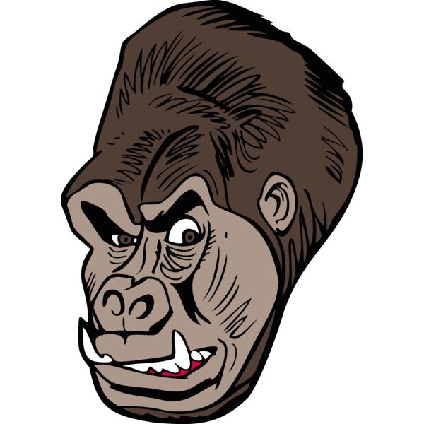 gorilla 23 Thumbnail