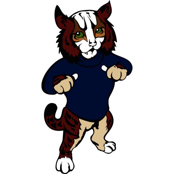 wildcat05v4clr  2  Thumbnail