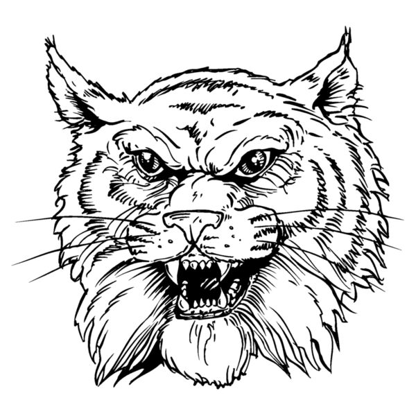 wildcathead05 Thumbnail