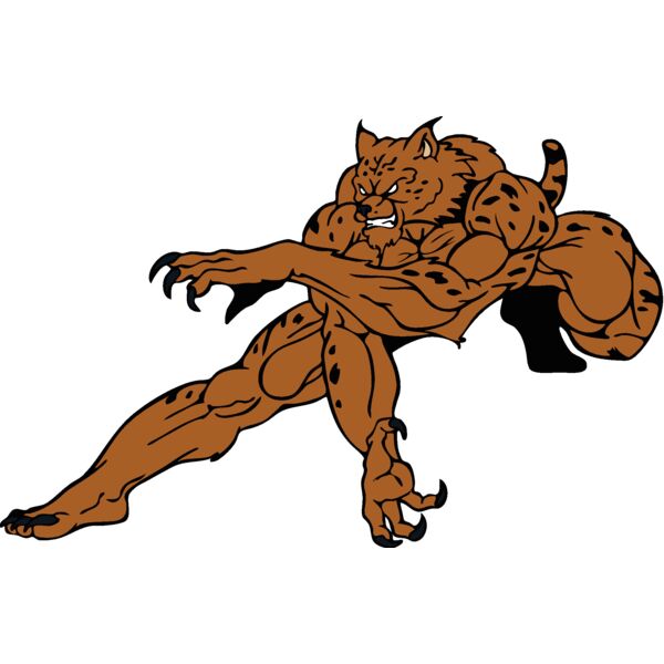 wildcatbc 6 Thumbnail